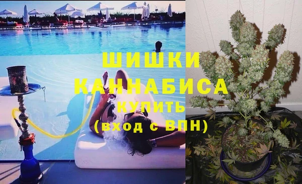 хмурый Мегион
