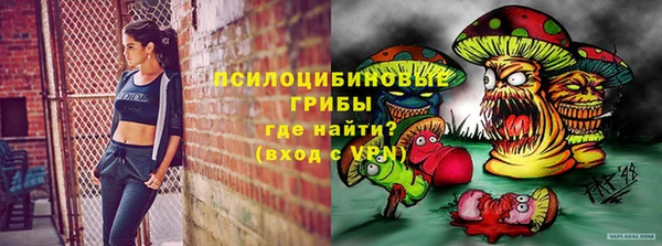 бутират Медногорск