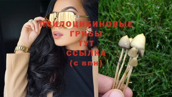 бутират Медногорск
