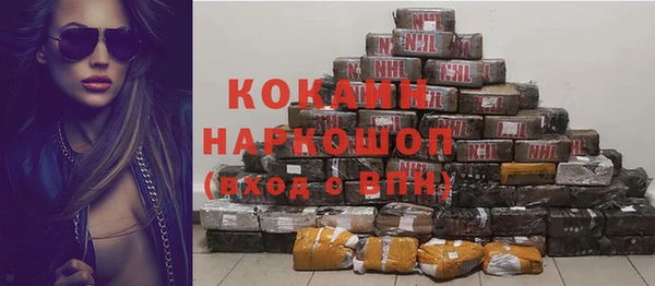 хмурый Мегион